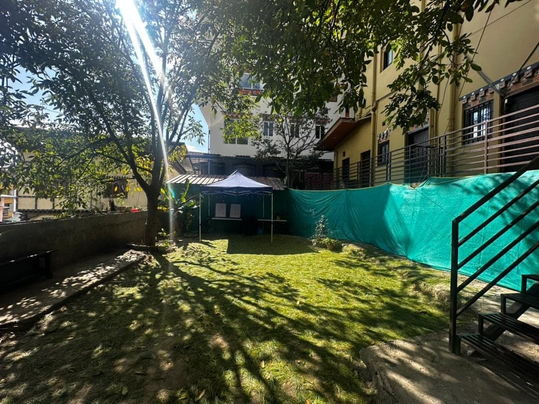 Sunlit backyard lawn surrounded by trees